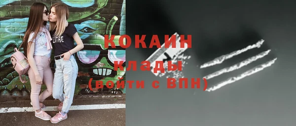 тгк Арсеньев