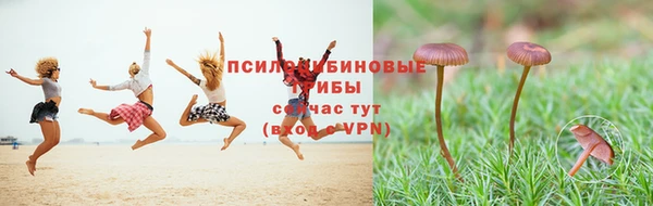 а пвп мука Балабаново